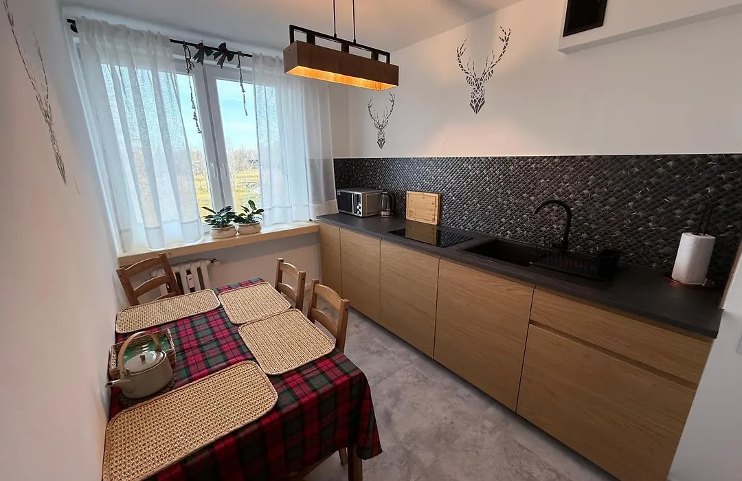 Uroczy Apartament 50 metrów od Krupówek, 2 osobne sypialnie-1
